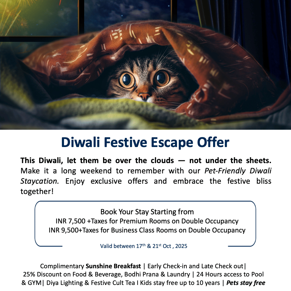 Celebrate Diwali at Radisson Blu Bengaluru City Center – pet-friendly staycation, festive perks, family offers, and joyful vibes.